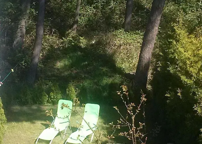 Ferienhaus Charmantes Haus 100m Vom Entfernt Fuer 6 Personen By Interhome *